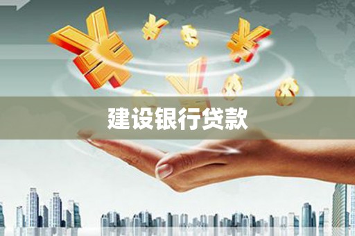 新河建设银行贷款