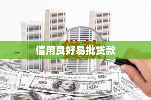 新河信用良好易批贷款
