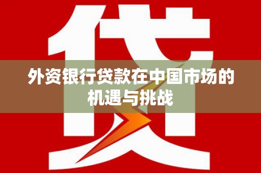 新河外资银行贷款在中国市场的机遇与挑战
