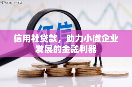 新河信用社贷款，助力小微企业发展的金融利器
