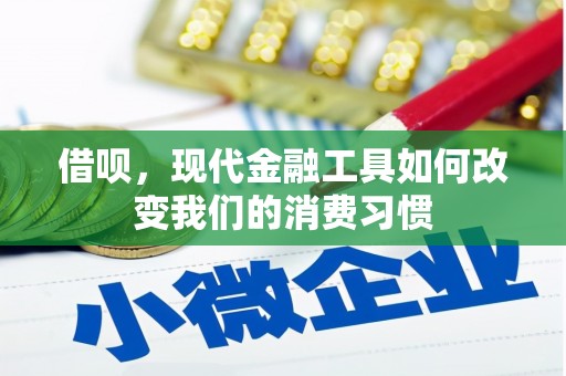 新河借呗，现代金融工具如何改变我们的消费习惯