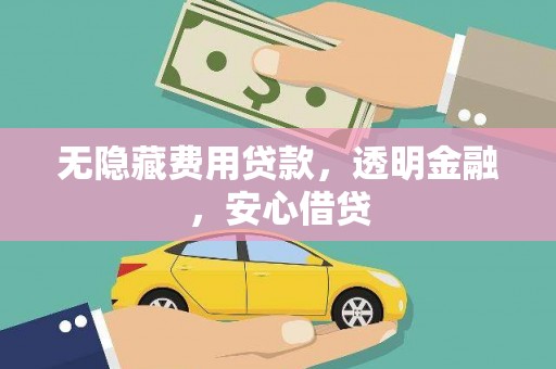新河无隐藏费用贷款，透明金融，安心借贷
