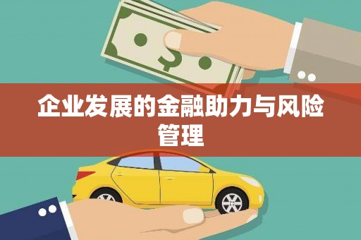 新河企业发展的金融助力与风险管理
