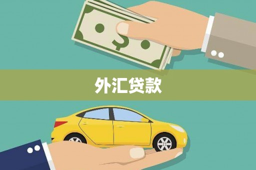 新河外汇贷款