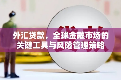 新河外汇贷款，全球金融市场的关键工具与风险管理策略
