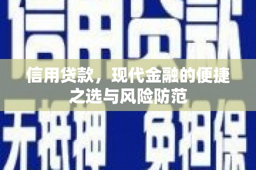 新河信用贷款，现代金融的便捷之选与风险防范