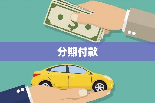 新河分期付款