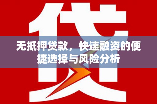 新河无抵押贷款，快速融资的便捷选择与风险分析