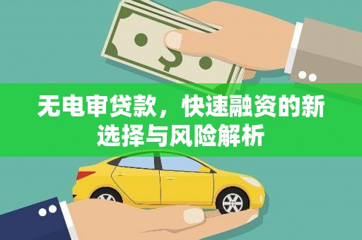 新河无电审贷款，快速融资的新选择与风险解析