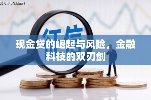 新河现金贷的崛起与风险，金融科技的双刃剑