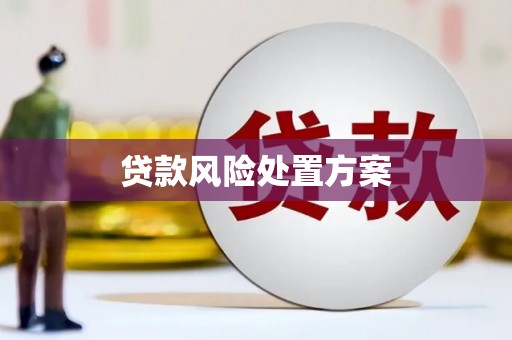 新河贷款风险处置方案