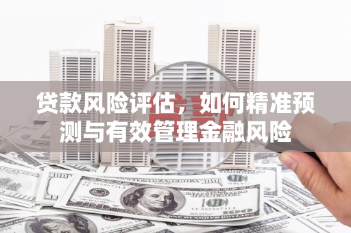新河贷款风险评估，如何精准预测与有效管理金融风险