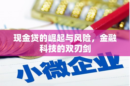 新河现金贷的崛起与风险，金融科技的双刃剑