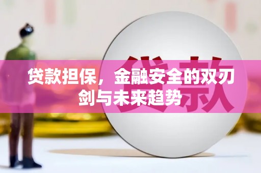 新河贷款担保，金融安全的双刃剑与未来趋势