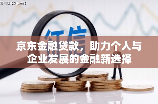 新河京东金融贷款，助力个人与企业发展的金融新选择
