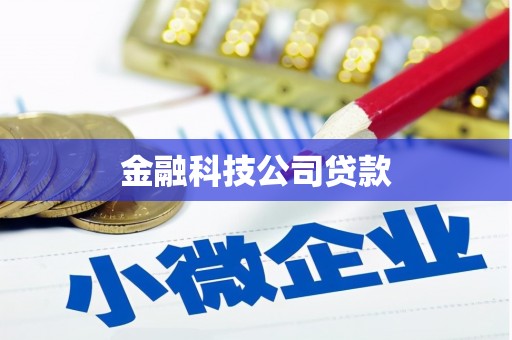 新河金融科技公司贷款
