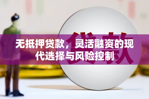 新河无抵押贷款，灵活融资的现代选择与风险控制