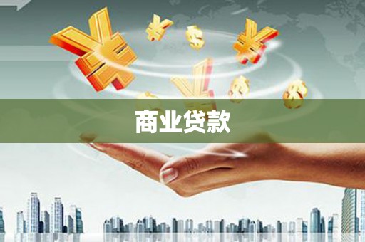 新河商业贷款
