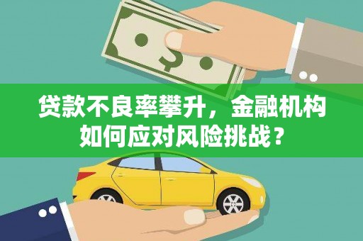 新河贷款不良率攀升，金融机构如何应对风险挑战？
