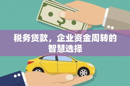 新河税务贷款，企业资金周转的智慧选择