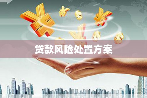 新河贷款风险处置方案