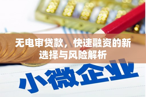 新河无电审贷款，快速融资的新选择与风险解析