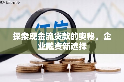 新河探索现金流贷款的奥秘，企业融资新选择