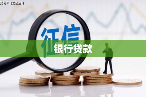 新河银行贷款
