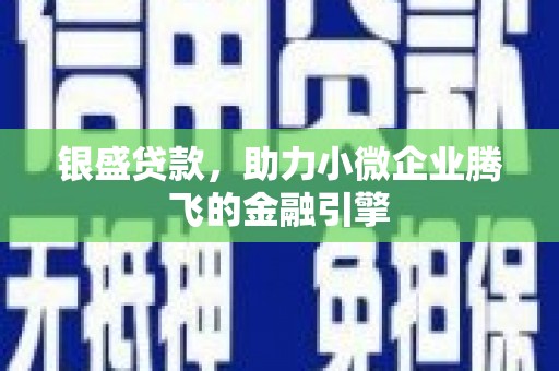 新河银盛贷款，助力小微企业腾飞的金融引擎
