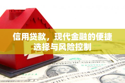 新河信用贷款，现代金融的便捷选择与风险控制