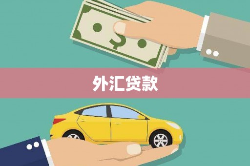 新河外汇贷款