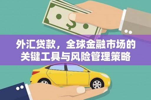 新河外汇贷款，全球金融市场的关键工具与风险管理策略