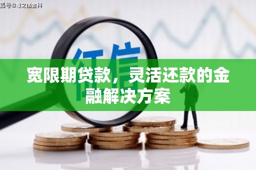 新河宽限期贷款，灵活还款的金融解决方案