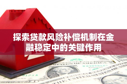 新河探索贷款风险补偿机制在金融稳定中的关键作用