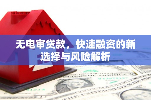 新河无电审贷款，快速融资的新选择与风险解析