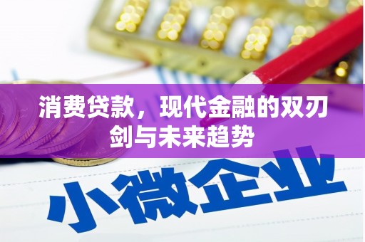 新河消费贷款，现代金融的双刃剑与未来趋势