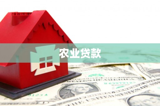 新河农业贷款