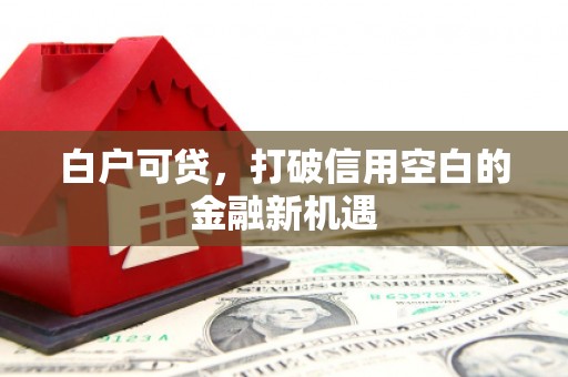 新河白户可贷，打破信用空白的金融新机遇