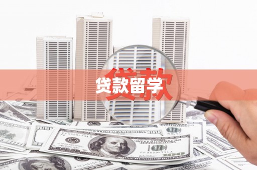 新河贷款留学