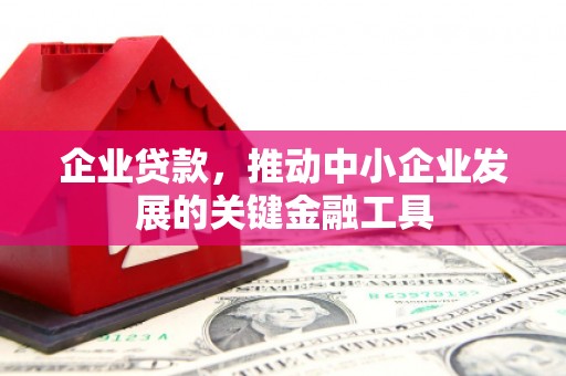 新河企业贷款，推动中小企业发展的关键金融工具