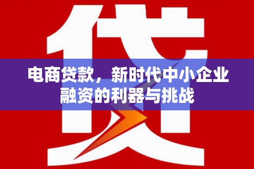 新河电商贷款，新时代中小企业融资的利器与挑战