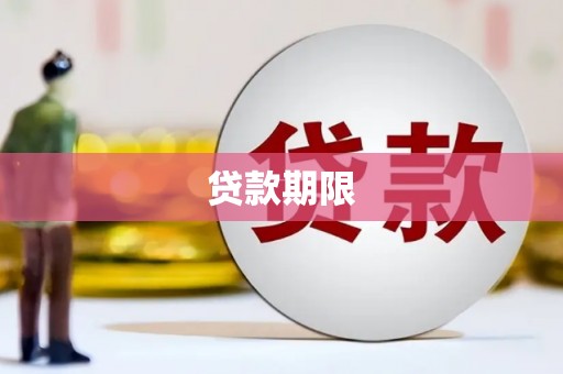 新河贷款期限
