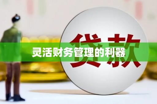 新河灵活财务管理的利器