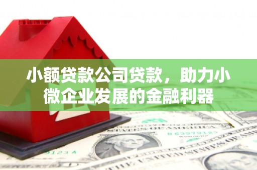 新河小额贷款公司贷款，助力小微企业发展的金融利器