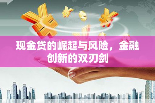 新河现金贷的崛起与风险，金融创新的双刃剑