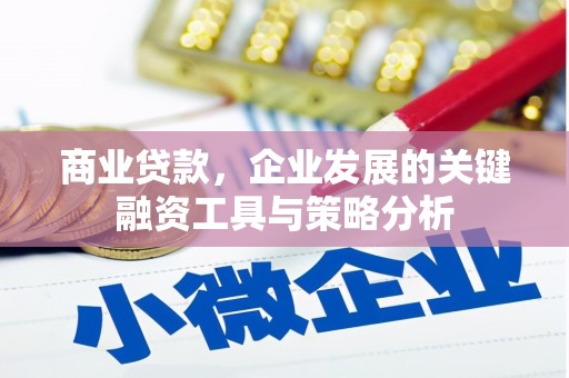 新河商业贷款，企业发展的关键融资工具与策略分析