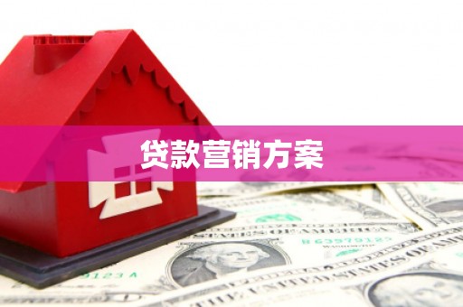 新河贷款营销方案
