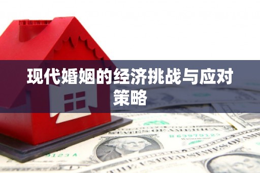 新河现代婚姻的经济挑战与应对策略