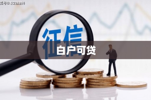新河白户可贷