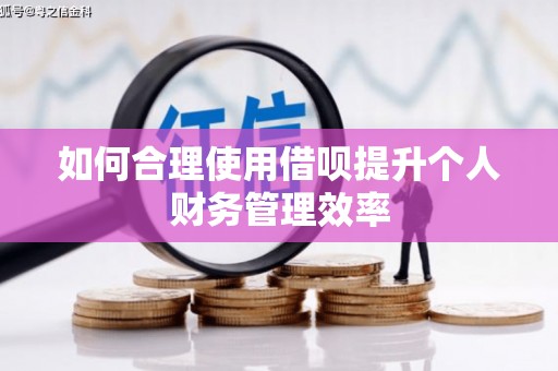 新河如何合理使用借呗提升个人财务管理效率